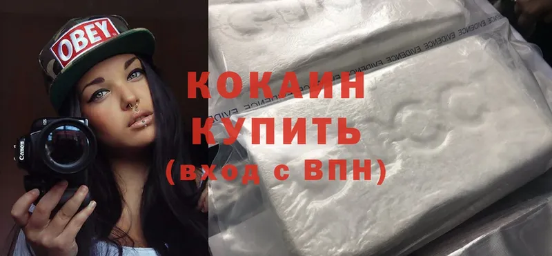 Кокаин FishScale  купить закладку  Губкин 